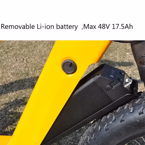 48 В 500 Вт Bafang MID Drive Мотор Велоспорт Электрический велосипед Мощный Ebike Электрический горный велосипед с толстыми шинами